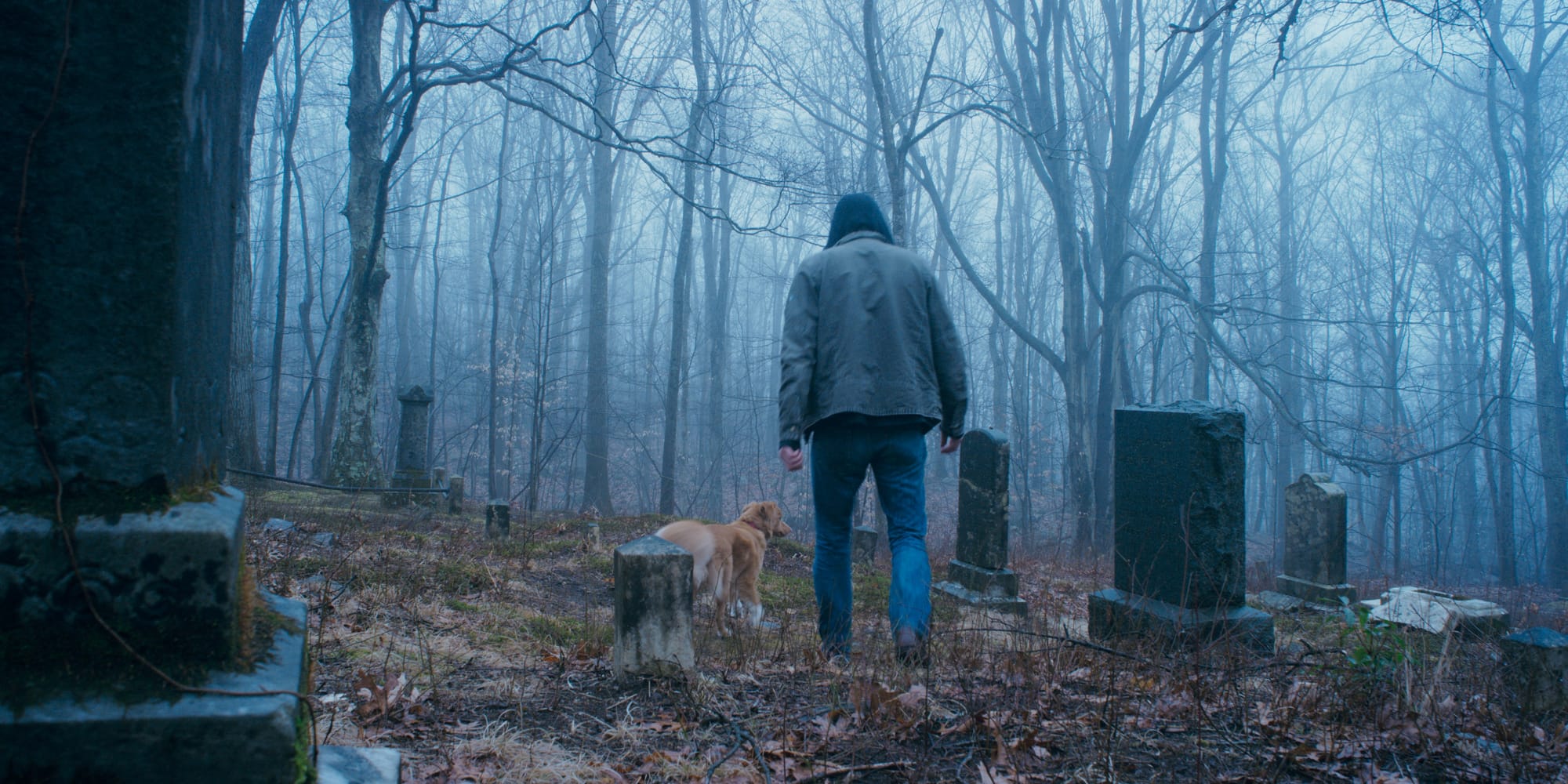'Good Boy' Will Make You Want To Give Your Pup An Extra Treat